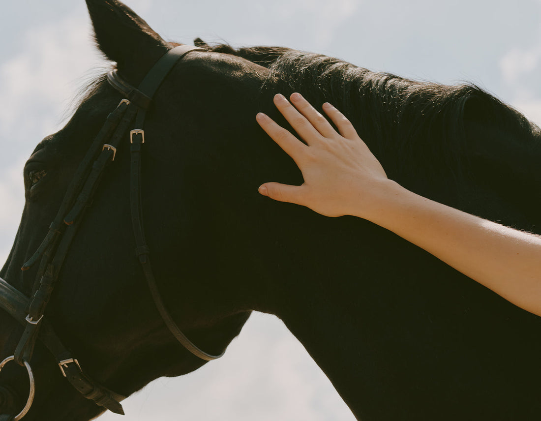 Coreografie invisibili di stile e armonia