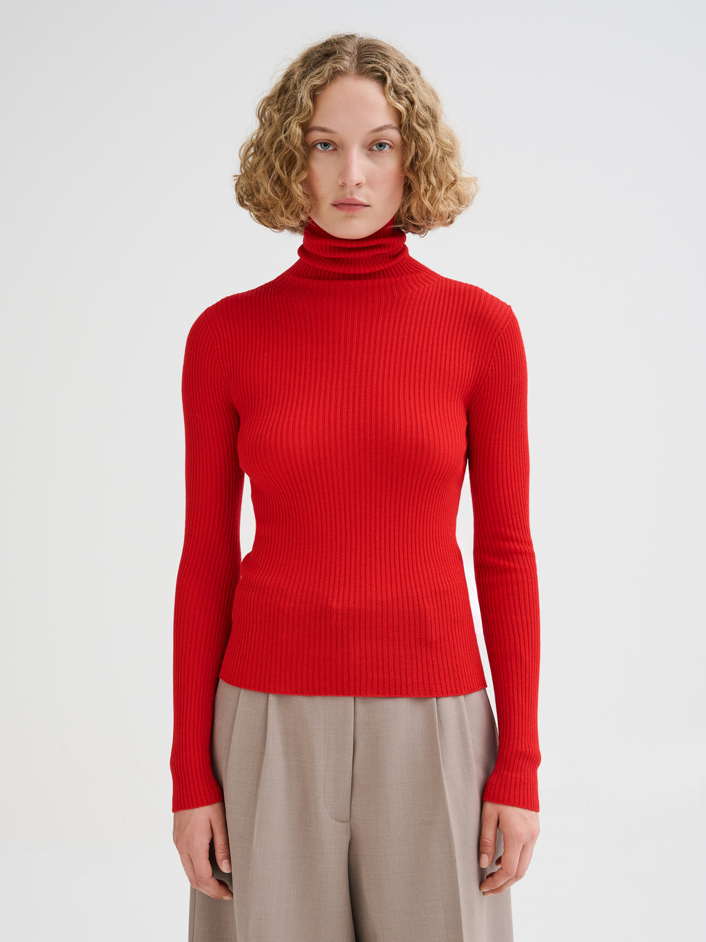 Merino wool ribbed turtleneck