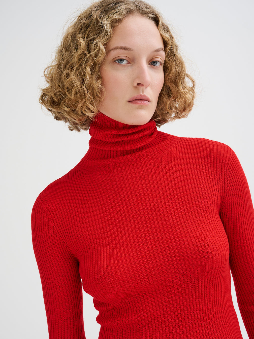 Merino wool ribbed turtleneck