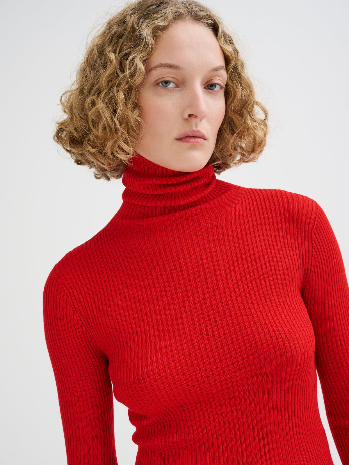 Merino wool ribbed turtleneck
