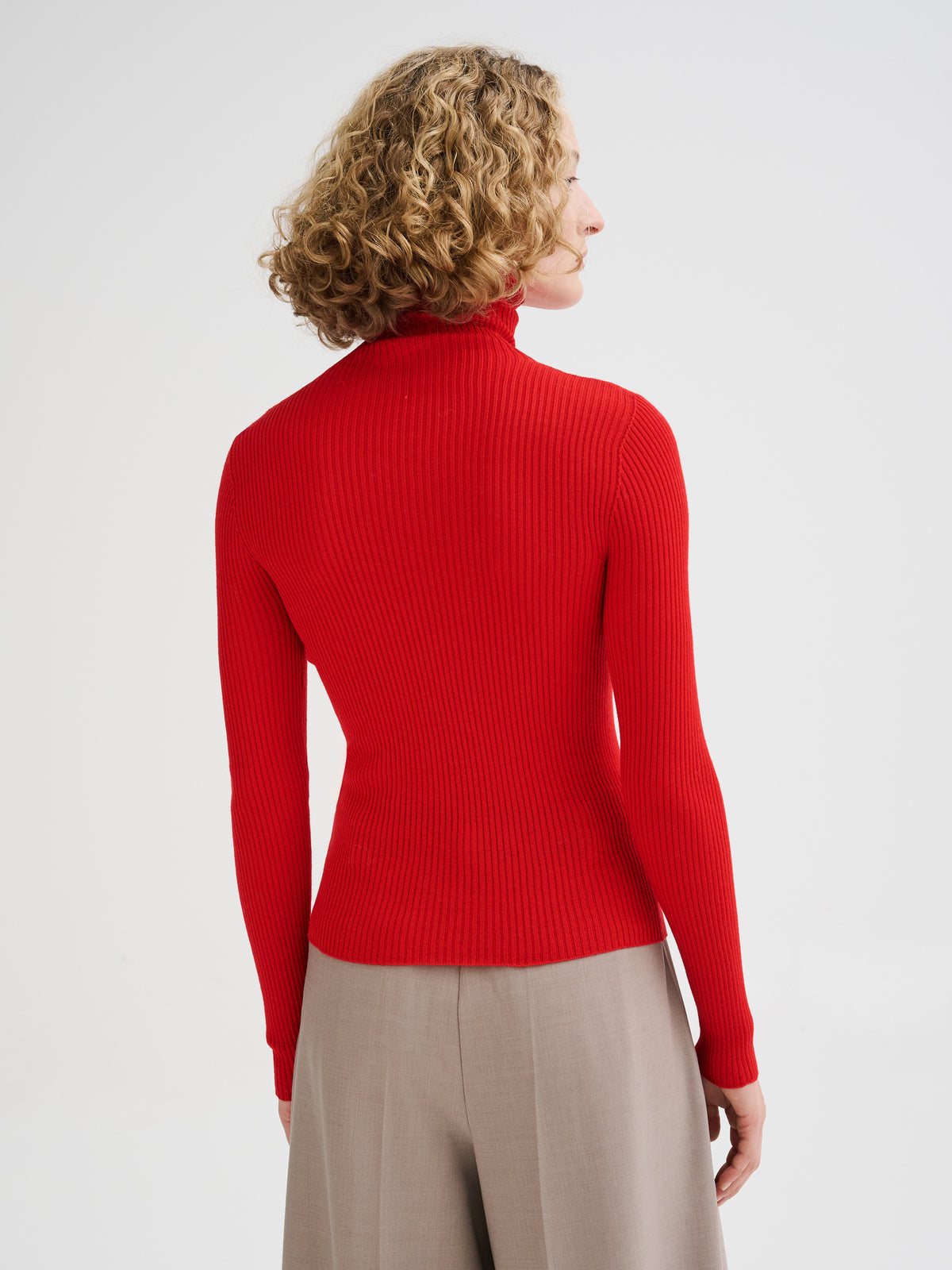 Merino wool ribbed turtleneck