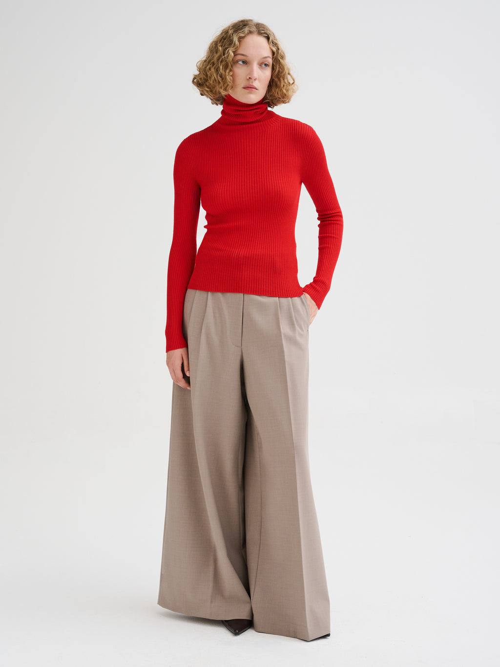Merino wool ribbed turtleneck